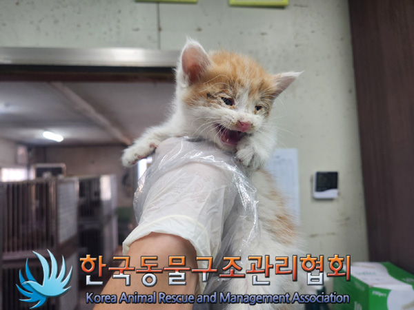 한국동물구조관리협회_411304202400629